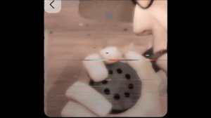 антифурри Эдит