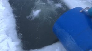 зарыбление форели 150 кг