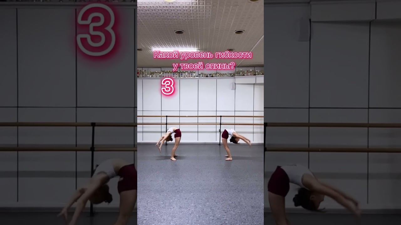 Уровень гибкости спины смотреть онлайн