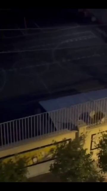 Клип @nstarikov_club смотреть онлайн