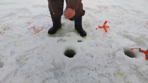 Поставушка