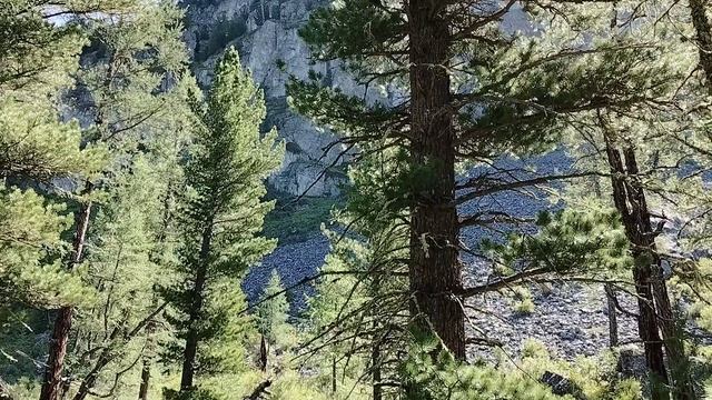 К Мультинским озёрам