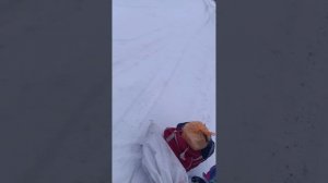 Операция рЫба:)👍🐟