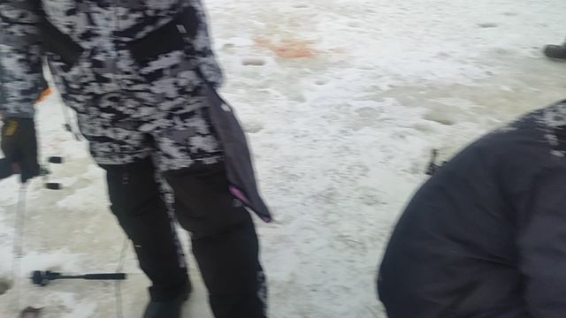 video5390899583930893252 смотреть онлайн