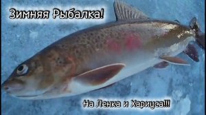 Зимняя Рыбалка на Реке 2025 на 2026! На Ленка и Хариуса!!!