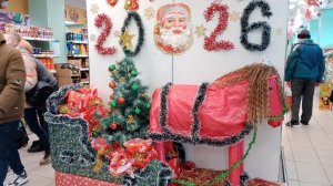 2 января - в Ейске  +2☀️ у Ёлки 🌲 Верный охранник... Мясо, рыба, курица... Тихон 😺