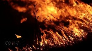 NYT: число погибших при ударах США по Венесуэле возросло до 80 человек