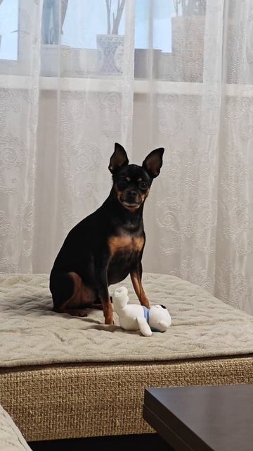 Я красавчик смотреть онлайн