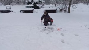 Светлые Горы Форель5 04.01.2026г.