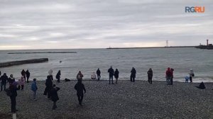 Как в новогодние праздники туристы отдыхают у моря в Сочи