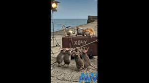 Ялта Лучший В мире Город клип песня и как снимали 11