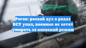 Рогов: роевой дух в рядах ВСУ упал, военные не хотят умирать за киевский режим