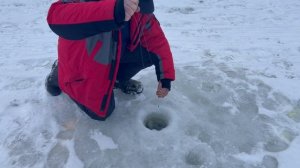 Поимка на поставушку