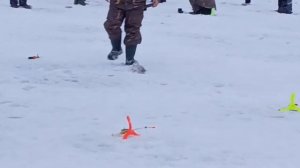 поимка форели