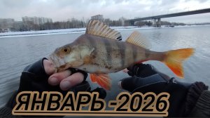 ЗИМОЙ МЫ ЛОВИМ НА СПИННИНГ/ДОБИВАЕМ ОСТАВШИХСЯ ОКУНЕЙ!!!