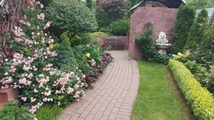 Мой сад 1часть ( пионы)