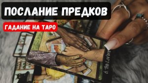 ЧТО ХОТЯТ ПЕРЕДАТЬ УМЕРШИЕ ТЕБЕ СЕЙЧАС🔮✨🌺ТАРО ГАДАНИЕ