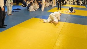 Дзюдо Красноярск 2025.