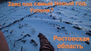 Охота на зайца. Заяц под самый Новый год. Успели?