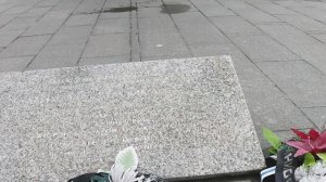 Михаил Паникаха. Сталинградская битва. Огненный подвиг.62 Армия , 193 стр дивизия.