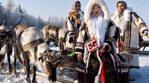 Год единства народов России. Как жители Севера сохраняют свои традиции?
