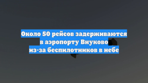 Около 50 рейсов задерживаются в аэропорту Внуково из-за беспилотников в небе
