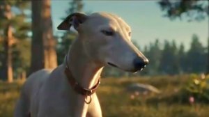 Солнце взойдёт | Музыка | Клип