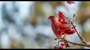 5 января - Федулов день. Традиции и народные приметы