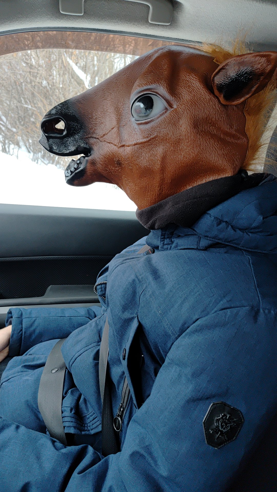 Встречаем Новый год 2026 год лошади в образе, поднимаем всем настроение смотреть онлайн