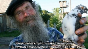 Фильм:  «Завещание Игнатия Тихоновича»