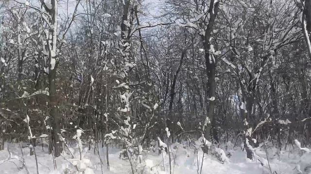 дорожный влог смотреть онлайн