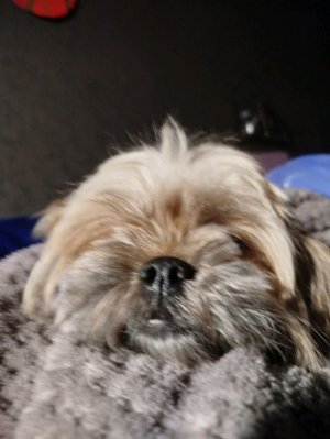 мне подарили новогодний подарок!🌈