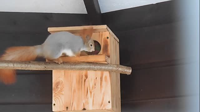 Утро Камышина 4  янв 2026 смотреть онлайн