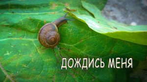 "Дождись меня". Ждите и любите друг друга всегда, что бы не случилось