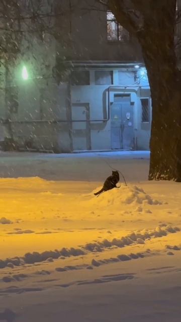 2026-01-04 смотреть онлайн