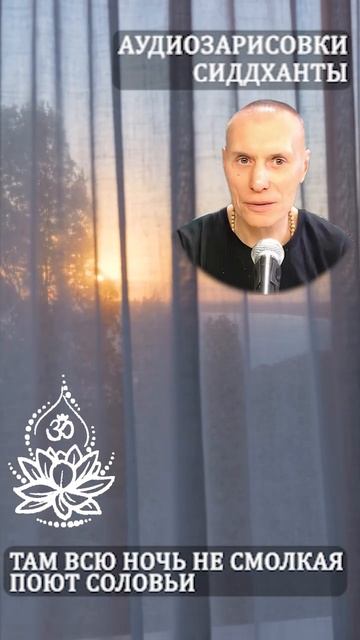 Там всю ночь не смолкая поют соловьи. Аудиозарисовки Сиддханты (Вячеслава Чернина)