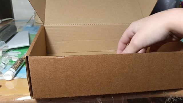 Мой формикарий. Распаковка.mp4 смотреть онлайн