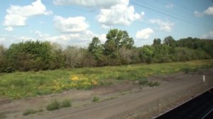 Западная Сибирь вид из окна поезда