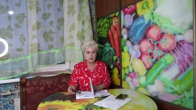 Отчет по заказам семян томатов 3 января  2026 года. Только для заказчиков. смотреть онлайн