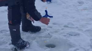 сёмкина 2 в комаровке