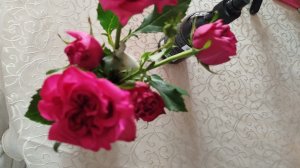 Поболтаем про цены на Цветы. Китай рулит 
Похудение продолжается.
Проснулась в 3 часа дня)))