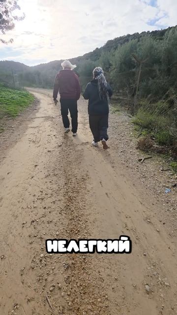 Как Мы Поехали Собирать Грибы смотреть онлайн