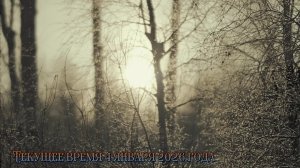 Текущее время 4 января 2026 года