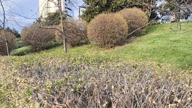 Зима на Кубани 04.01.2026.mp4 смотреть онлайн