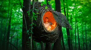 Создаю уютное ГНЕЗДО в дикой природе. Строю лесной домик и убежище для выживания