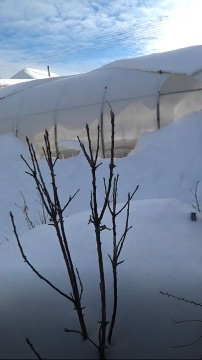 Земля зимой отдыхает от нас, и мы тоже отдыхаем от земли смотреть онлайн