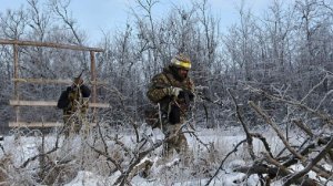 Трамп заявил о неудовлетворенности ходом контактов с Россией по Украине