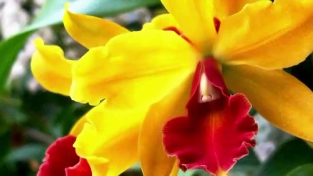 АНЯ АНГЕЛ-А - ПРОСТО смотреть онлайн