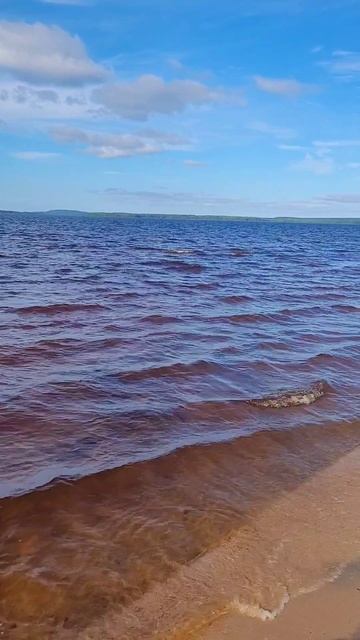 Карелия 2025. Озеро Пальозеро. Июль 2025г (Часть 3) смотреть онлайн