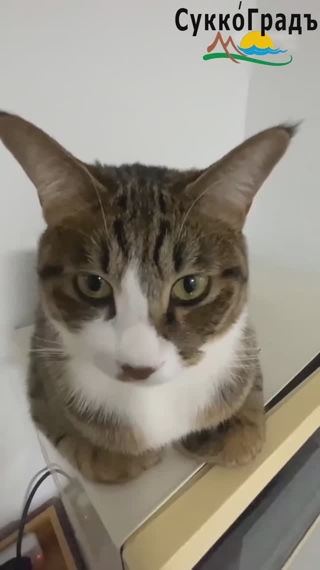 Результат зависит от режима съемки смотреть онлайн